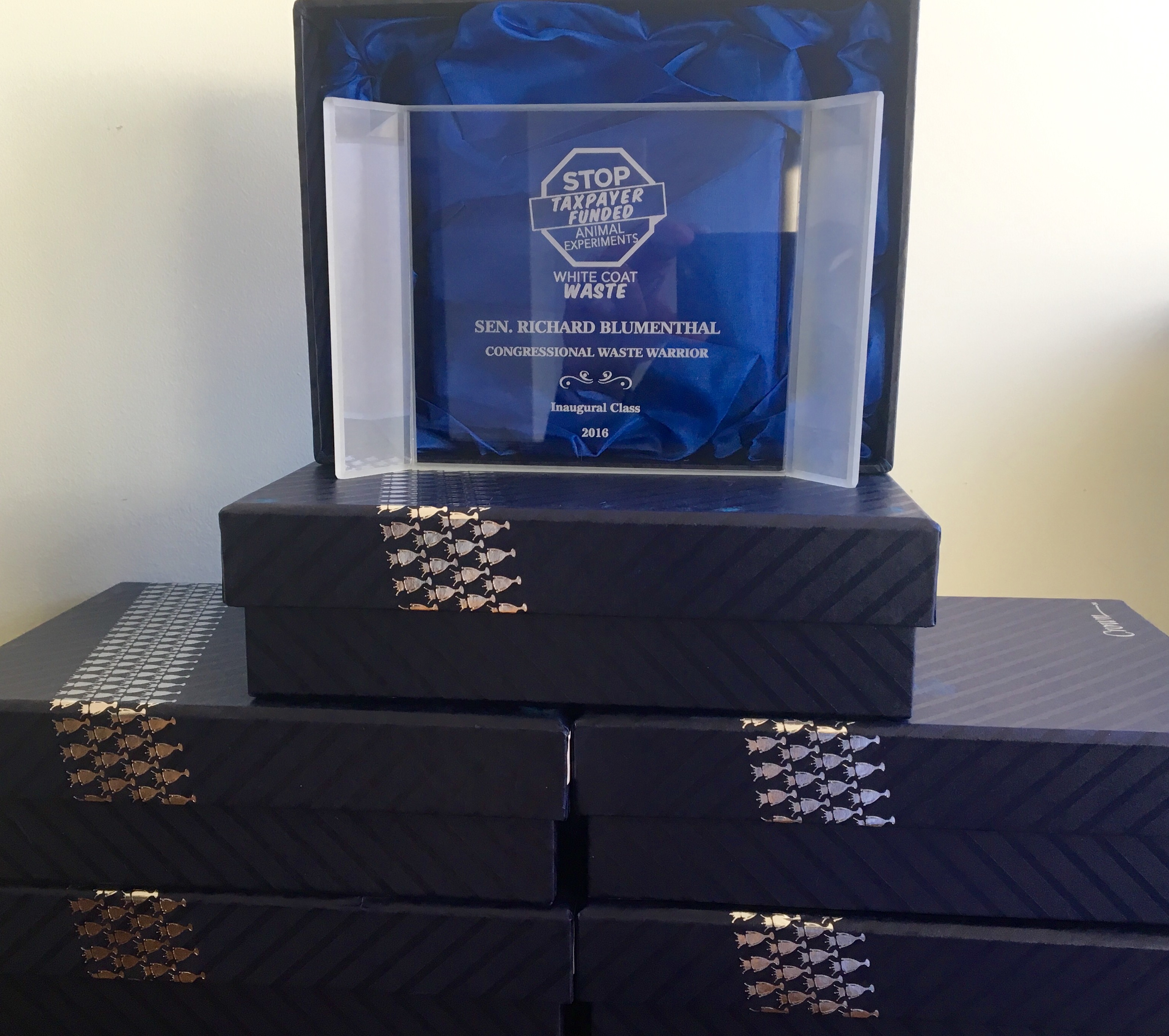 WCW 2016 awards
