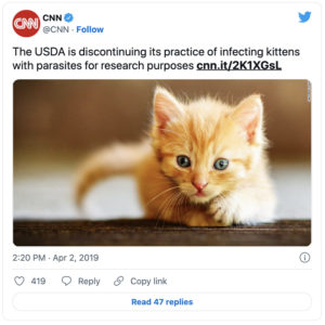 USDA ends cat experiments