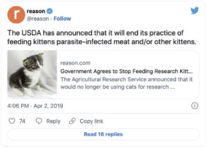 USDA ends cat experiments