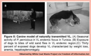 #BeagleGate FOIA documents