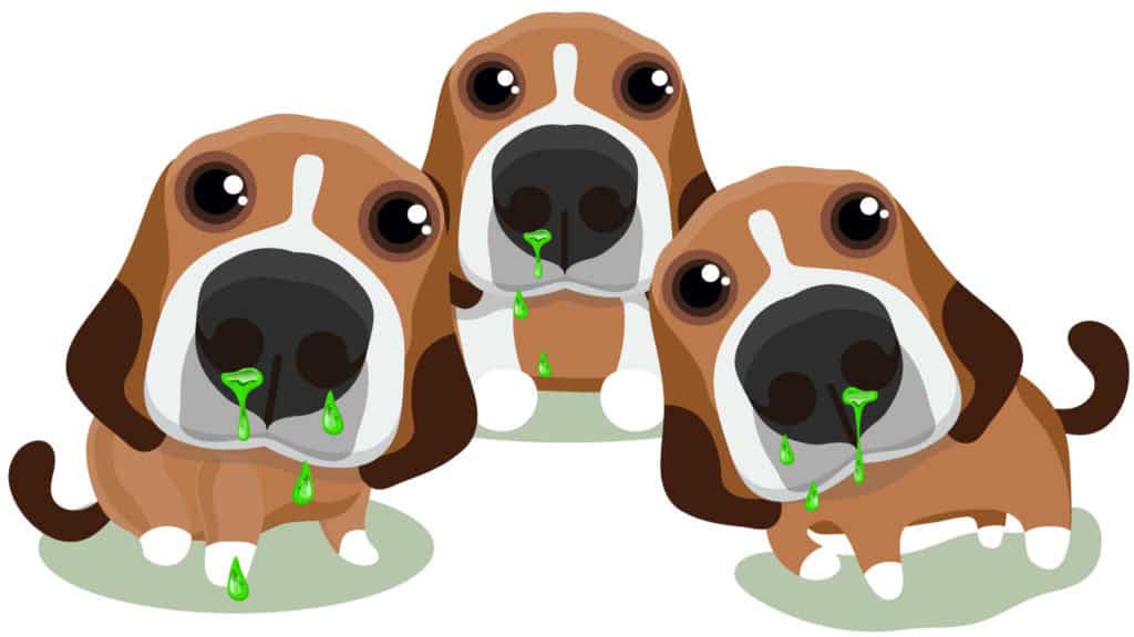 Killed for a Runny Nose?