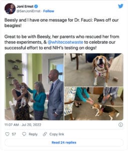 Beesly Hound On the Hill