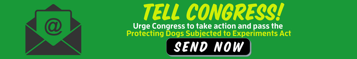 Protecting Dogs Subjected to Experiments Act
