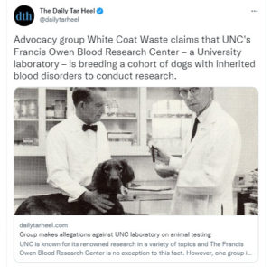 Bleeding Beagle