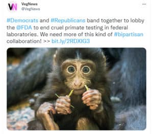 WCW Stopped Monkey Business