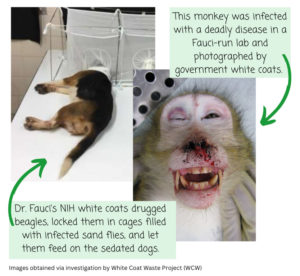 NIAID Lawsuits