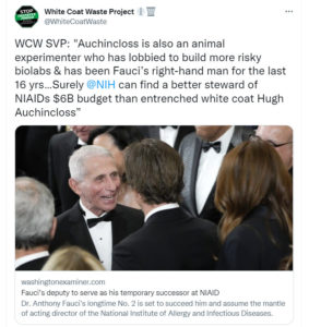 Fauci's Replacement Auchincloss 
