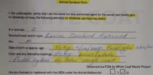 NIAID Torturing abandoned pets