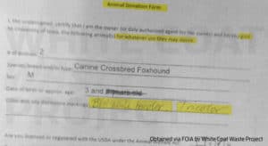 NIAID Torturing abandoned pets