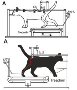 Russian Animal Labs Defunded