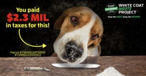 DC Metro Censors WCW