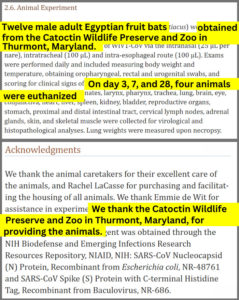 Zoo sent bats to NIH