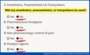 NIH Max Pain Tick Experiments