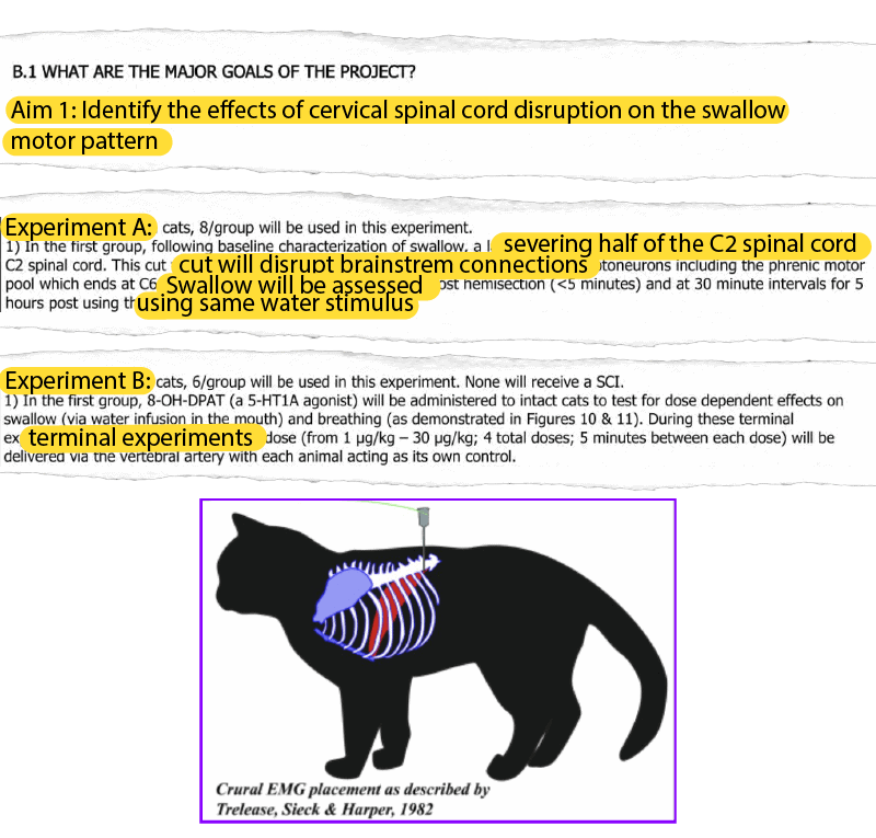 WCW EXPOSÉ “Playful & Purring” Cats Crippled & Forced to Swallow