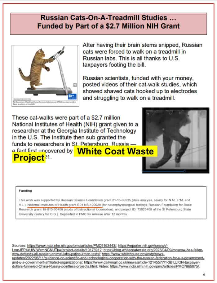 Rand Paul's Festivus Report