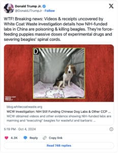 WCW Trump Admin Plan