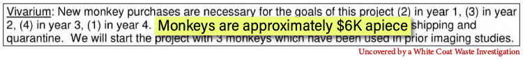 URochester Mutilating Primate Eyes