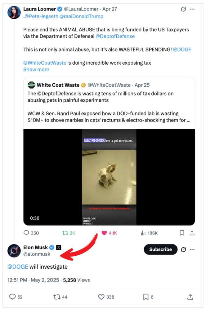 Elon Musk Tweet
