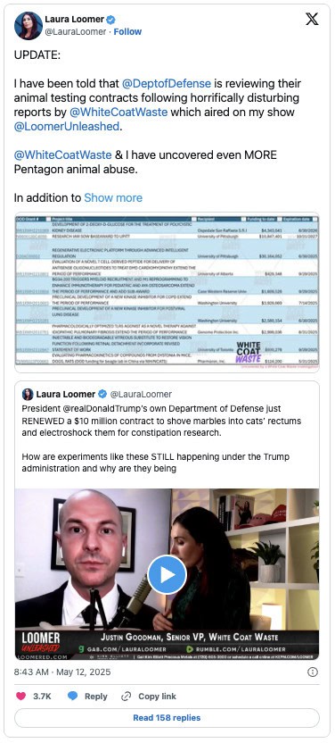 Laura Loomer Tweet 2